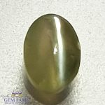 Chrysoberyl Cat's Eye Gemstone