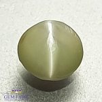 Chrysoberyl Cat's Eye Gemstone