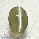 Chrysoberyl Cat's Eye Gemstone