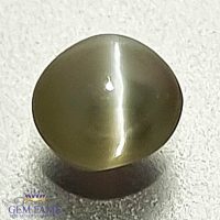 Chrysoberyl Cat's Eye Gemstone