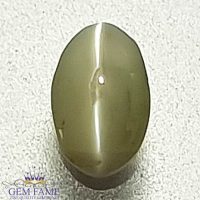 Chrysoberyl Cat's Eye Gemstone