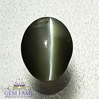 Chrysoberyl Cat's Eye Gemstone