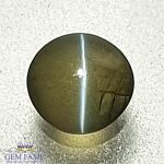 Chrysoberyl Cat's Eye Gemstone
