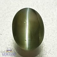 Chrysoberyl Cat's Eye Gemstone