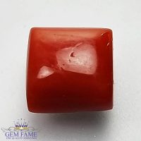 Coral (Moonga) Gemstone