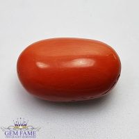 Coral (Moonga) Gemstone