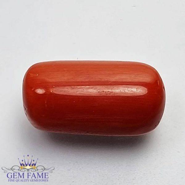 Coral (Moonga) Gemstone 10.75ct