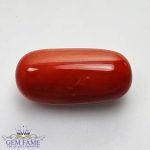 Coral (Moonga) Gemstone