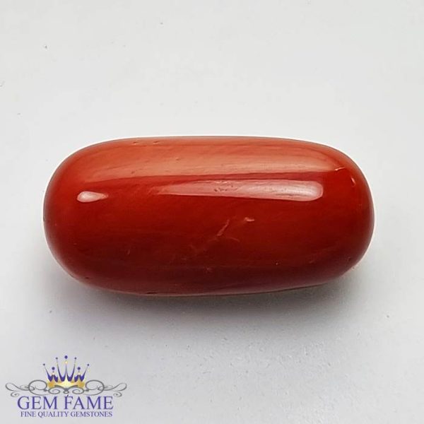 Coral (Moonga) Gemstone