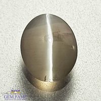 Sillimanite Cat's Eye Gemstone