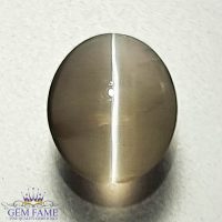 Sillimanite Cat's Eye Gemstone