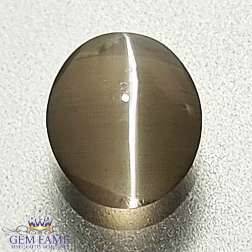 Sillimanite Cat's Eye Gemstone