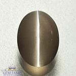Sillimanite Cat's Eye Gemstone