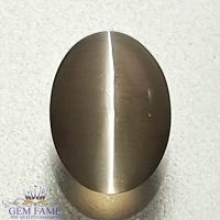 Sillimanite Cat's Eye Gemstone