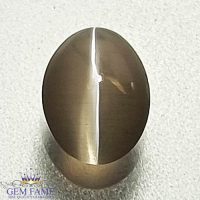 Sillimanite Cat's Eye Gemstone