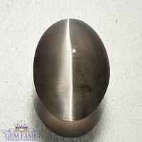 Sillimanite Cat's Eye Gemstone