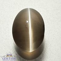 Sillimanite Cat's Eye Gemstone