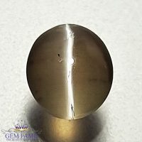 Sillimanite Cat's Eye Gemstone