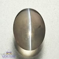 Sillimanite Cat's Eye Gemstone