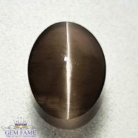 Sillimanite Cat's Eye Gemstone