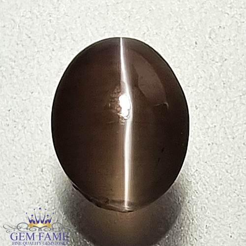 Sillimanite Cat's Eye Gemstone