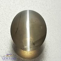 Sillimanite Cat's Eye Gemstone