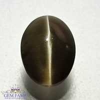 Sillimanite Cat's Eye Gemstone