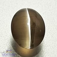 Sillimanite Cat's Eye Gemstone