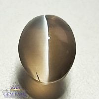 Sillimanite Cat's Eye Gemstone