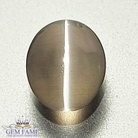 Sillimanite Cat's Eye Gemstone