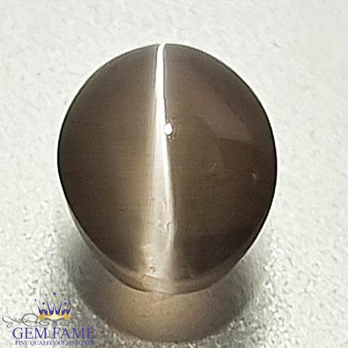 Sillimanite Cat's Eye Gemstone