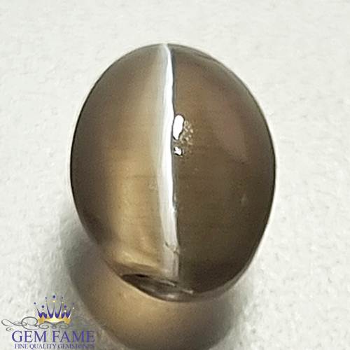 Sillimanite Cat's Eye Gemstone