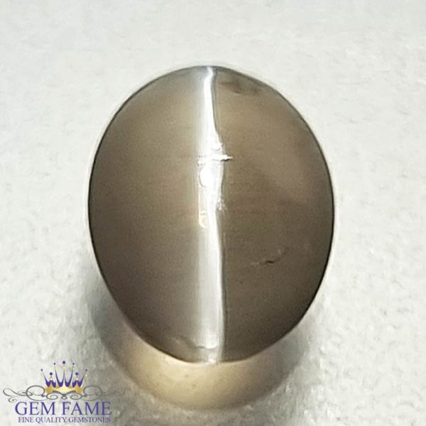 Sillimanite Cat's Eye Gemstone