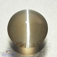 Sillimanite Cat's Eye Gemstone