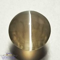 Sillimanite Cat's Eye Gemstone