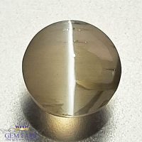 Sillimanite Cat's Eye Gemstone