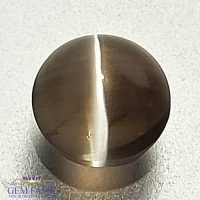 Sillimanite Cat's Eye Gemstone