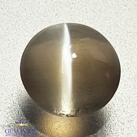 Sillimanite Cat's Eye Gemstone