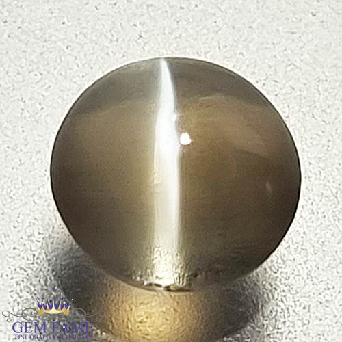 Sillimanite Cat's Eye Gemstone