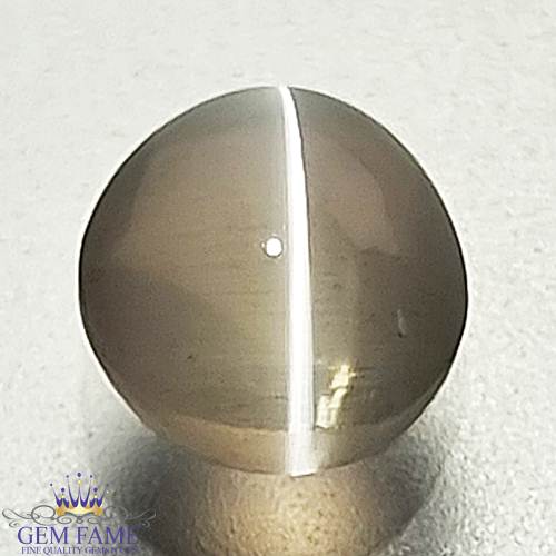 Sillimanite Cat's Eye Gemstone