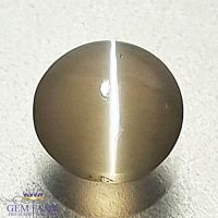 Sillimanite Cat's Eye Gemstone