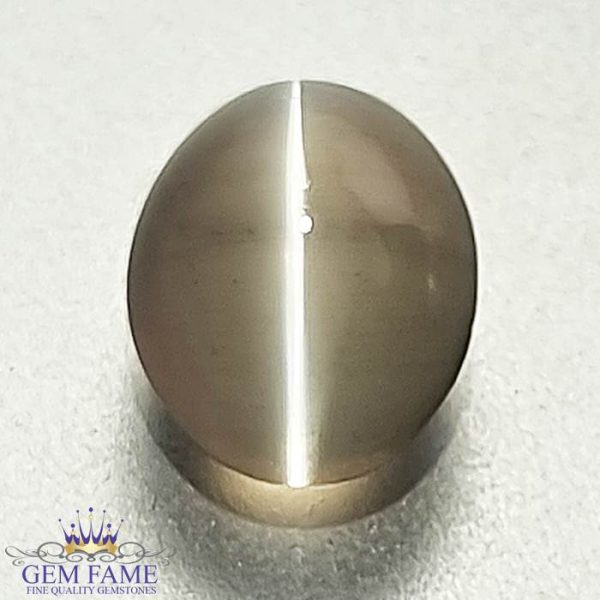 Sillimanite Cat's Eye Gemstone