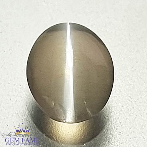 Sillimanite Cat's Eye Gemstone