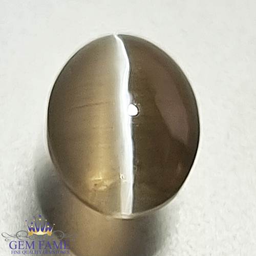 Sillimanite Cat's Eye Gemstone