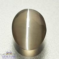 Sillimanite Cat's Eye Gemstone