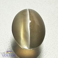 Sillimanite Cat's Eye Gemstone