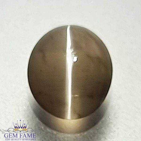 Sillimanite Cat's Eye Gemstone