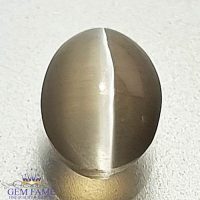 Sillimanite Cat's Eye Gemstone