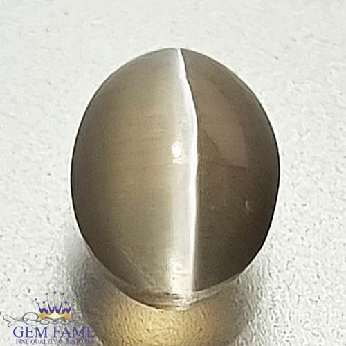 Sillimanite Cat's Eye Gemstone