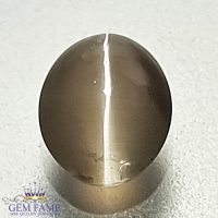 Sillimanite Cat's Eye Gemstone